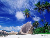 /album/photo-gallery-za-nas/dooffy-design-net-nature-paradise-001-1024-jpg/